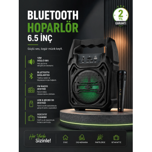 10w Güçlü Ses Performanslı Bluetooth Karaoke Hoparlörü