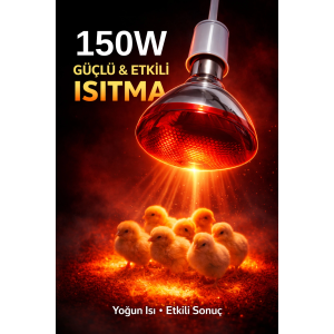 150w Isıtıcı Ampul Kırmızı Isı Lambası Civciv Kümes Kuluçka E27 Duy Isıtma Ampulü
