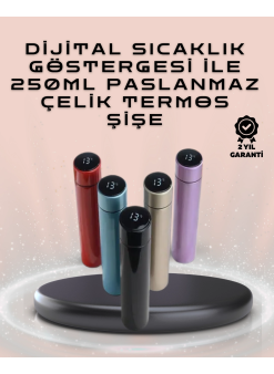 250ml Led Ekranlı Paslanmaz Çelik Akıllı Termos