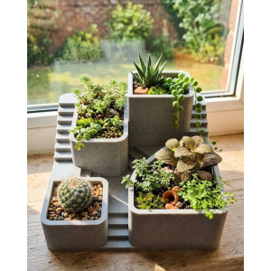 3d Baskı Kaktüs Saksı Seti Çok Bölmeli Modern Dekoratif Masaüstü Bitki Düzenleyici