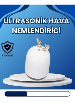 4–8 Saat Çalışma Süreli Usb Portatif Masa Nemlendirici