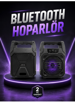 6.5 İnç Kablosuz Hoparlör Bluetooth Bağlantılı Yüksek Ses