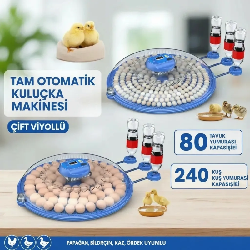 80 Ve 240 Kapasiteli Fonksiyonel Tam Otomatik Kuluçka Papağan Mini Kuş Tavuk Kaz Ördek Uyumlu 80 Ve 240 Kapasiteli Fonksiyonel Tam Otomatik Kuluçka Papağan Mini Kuş Tavuk Kaz Ördek Uyumlu