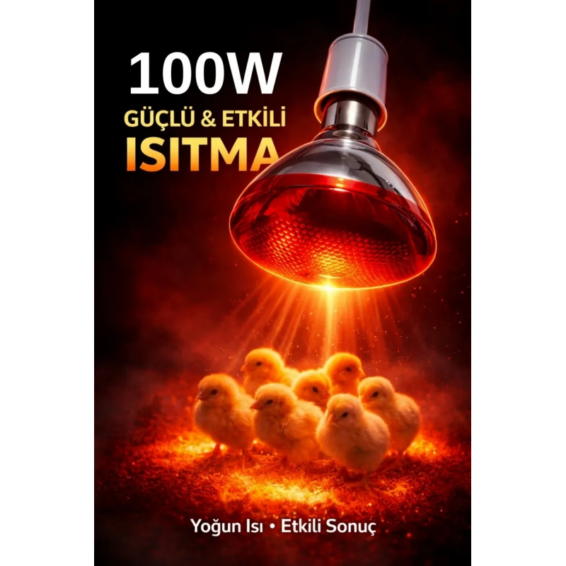 100w Isıtıcı Ampul Kırmızı Isı Lambası Civciv Kümes Kuluçka E27 Duy Isıtma Ampulü 100w Isıtıcı Ampul Kırmızı Isı Lambası Civciv Kümes Kuluçka E27 Duy Isıtma Ampulü