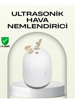 Abs+pp Malzemeli Taşınabilir 220 ml Usb Mist Nemlendirici