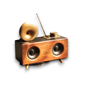 B6 Speaker Hoparlör