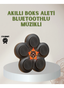Bluetoothlu Akıllı Boks Antrenman Cihazı Işıklı Hedefli Kardiyo Ve Fitness Aleti