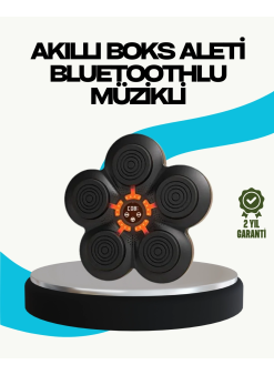 Ev Tipi Akıllı Boks Duvar Paneli Müzikli Bluetoothlu Refleks Geliştirme Cihazı