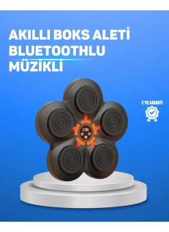 Müzikli Boks Duvar Paneli Akıllı Işık Sistemli Refleks Ve Kondisyon Aleti