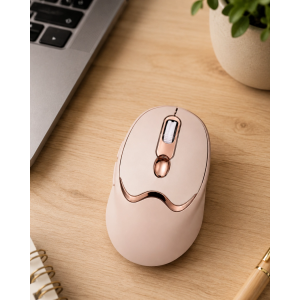 Şarjlı Kablosuz Mouse Sessiz Tıklama Bluetooth Ve Usb Destekli