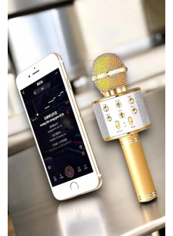 Şarjlı Ve Uzun Pil Ömürlü Karaoke Mikrofon Usb Bellek Destekli, Profesyonel Ses