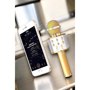 Şarjlı Ve Uzun Pil Ömürlü Karaoke Mikrofon Usb Bellek Destekli, Profesyonel Ses