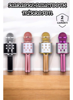 Şarjlı Ve Uzun Pil Ömürlü Karaoke Mikrofon Usb Bellek Destekli, Profesyonel Ses