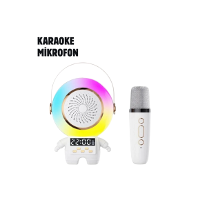 Tk-66 Karaoke Speaker