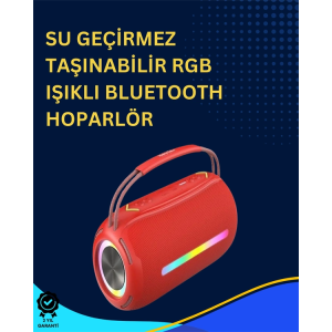 Usb/sd/aux Girişli Hoparlör – 10 W × 2 Çift Sürücü