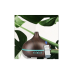 Hava Nemlendirici 7 Led Işıklı Aromatik Oda Kokusu 550 Ml Kahve Aroma Difüzörü Buhar Makinası Hava Nemlendirici 7 Led Işıklı Aromatik Oda Kokusu 550 Ml Kahve Aroma Difüzörü Buhar Makinası