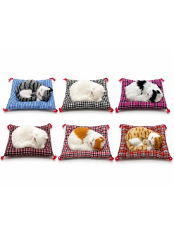Yastıkta Uyuyan Kedi Sesli Alk25