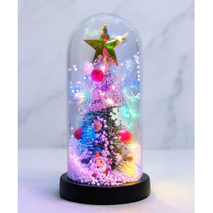 Yılbaşı Temalı Işıklı  Dekoratif Cam Fanus Alk5082